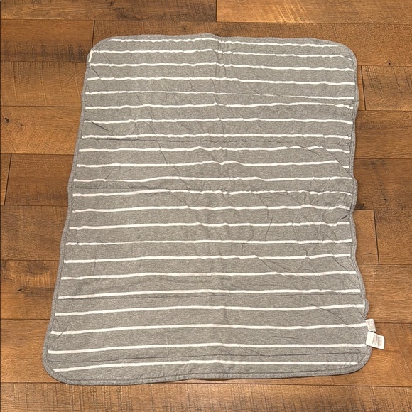 Burt's Bees Baby Other - Burt's Bees Baby Gray and White Striped Reversible Blanket